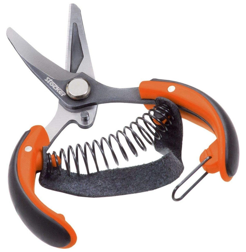 Forbice per Agrumi Stocker 10 cm – Lama Curva – Con Cinghia Taglia Tieni
