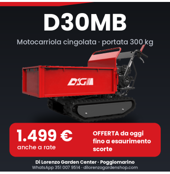 Motocarriola Cingolata  – 300 kg, Loncin 7HP, Compatta e Robusta