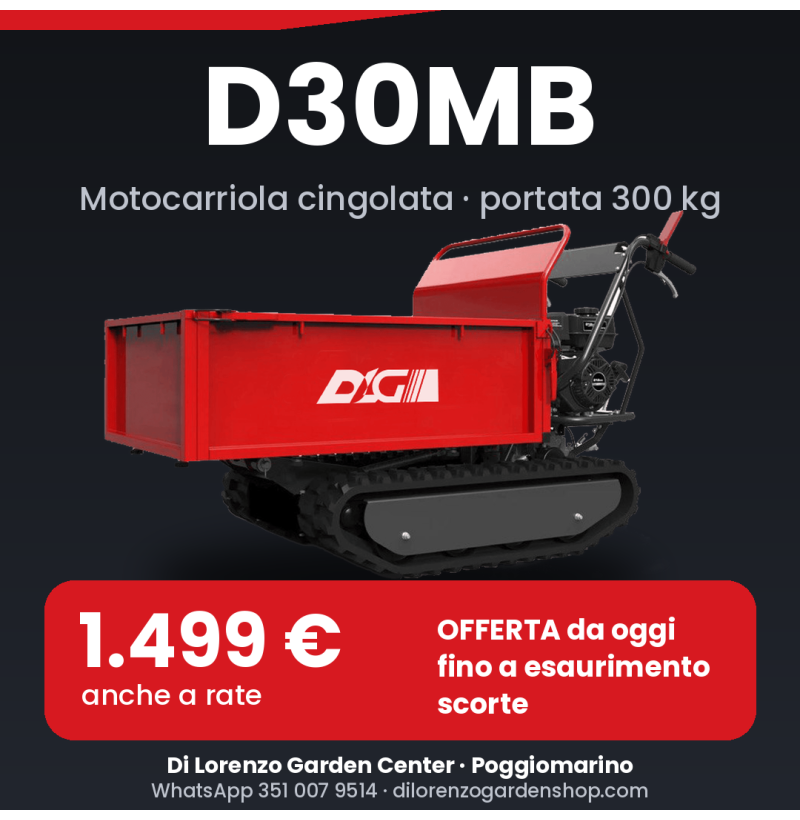 Motocarriola Cingolata  – 300 kg, Loncin 7HP, Compatta e Robusta