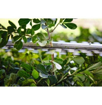 Tagliasiepi a Batteria STIHL HSA 40 con 2 Batterie AS2 – Silenzioso, leggero, lama 50 cm