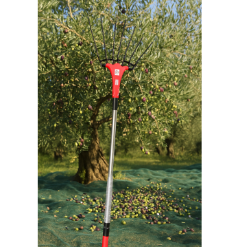 Abbacchiatore a batteria telescopico – raccolta olive con pettini flessibili