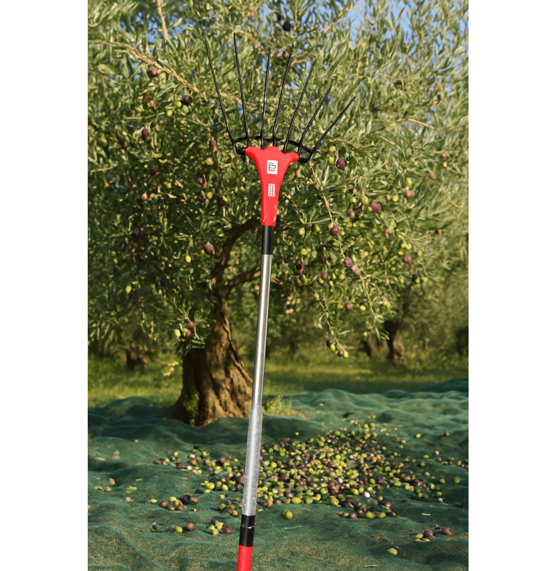 Abbacchiatore a batteria telescopico – raccolta olive con pettini flessibili
